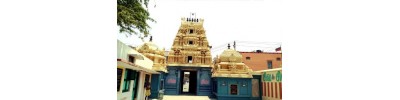 238. திருக்கச்சிமேற்றளி
